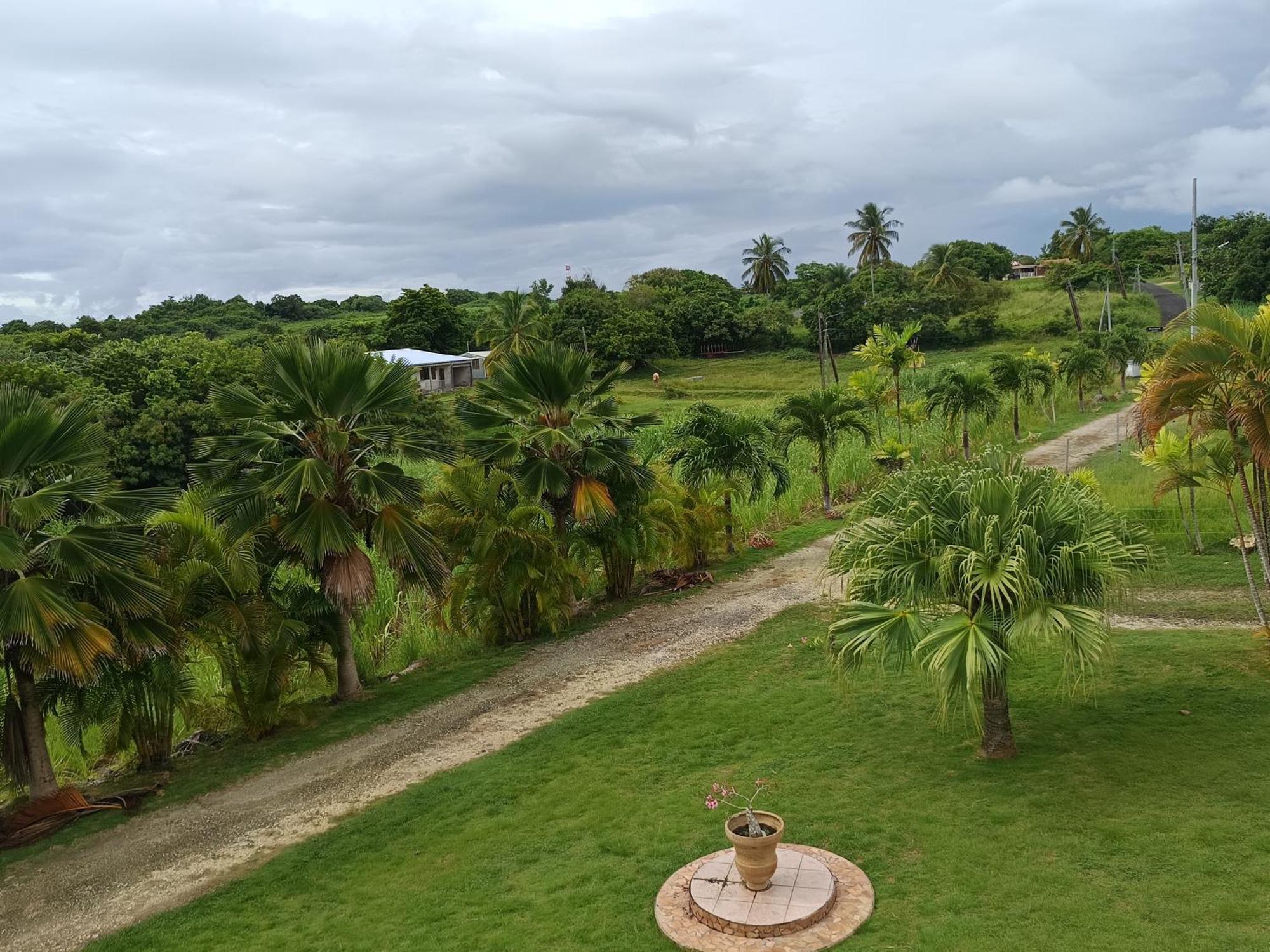 L'Aseta Paradise Grand-Bourg  Exterior foto